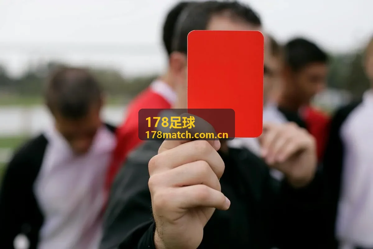 178足球球队资料库会员专属字段